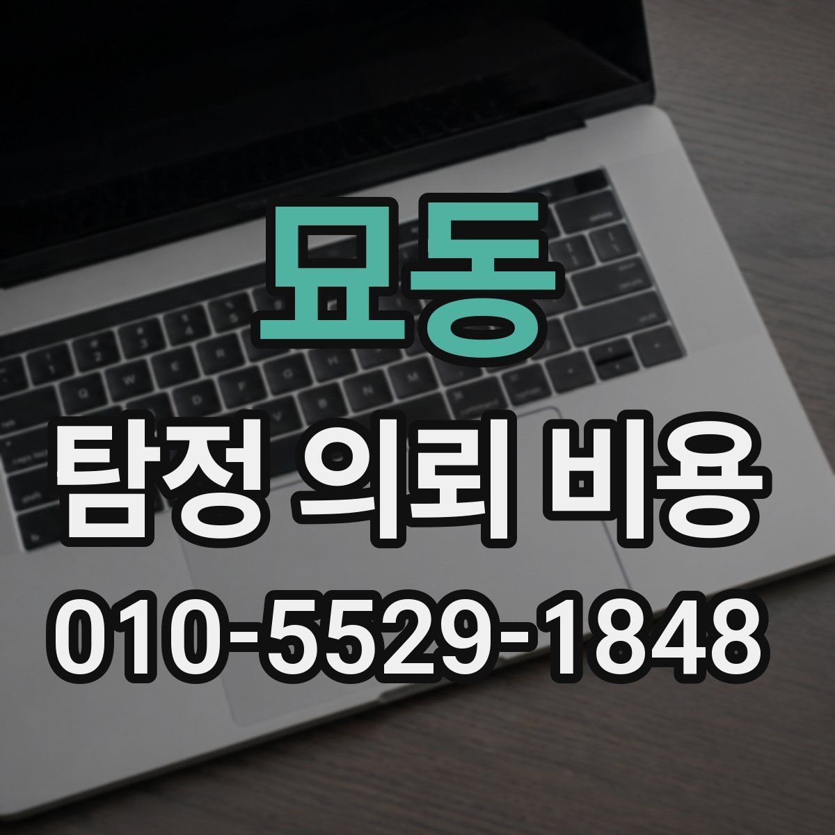 묘동 탐정 의뢰 비용