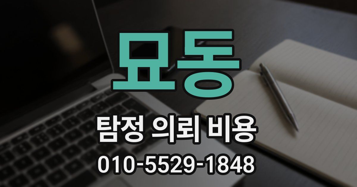 묘동 탐정 의뢰 비용