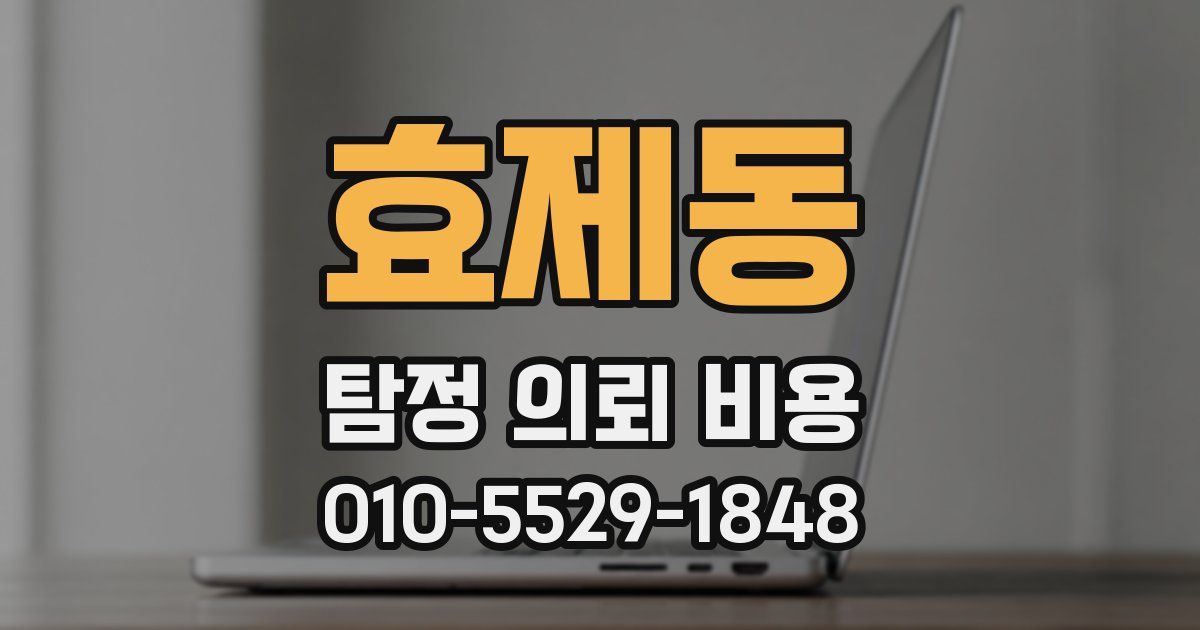 효제동 탐정 의뢰 비용