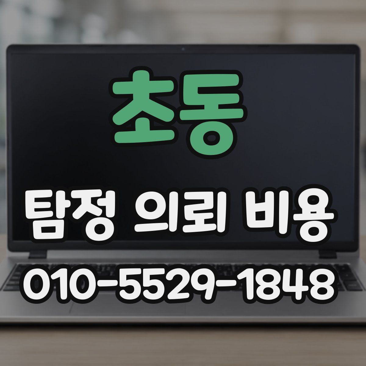 초동 탐정 의뢰 비용