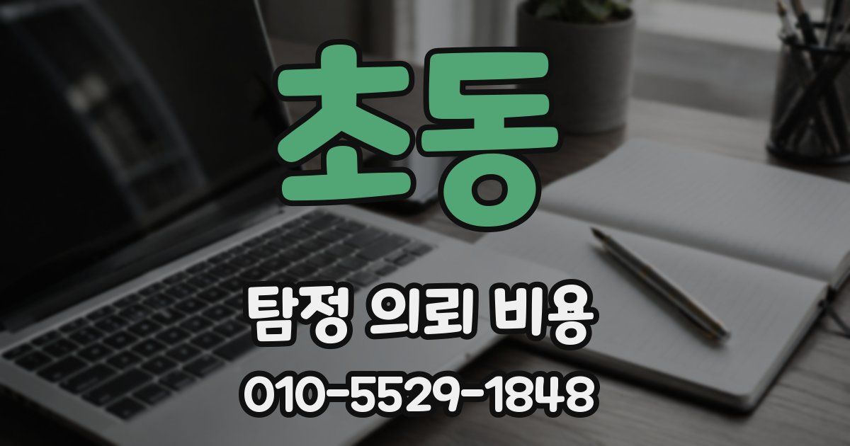 초동 탐정 의뢰 비용