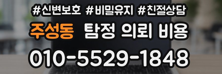 주성동 탐정 의뢰 비용