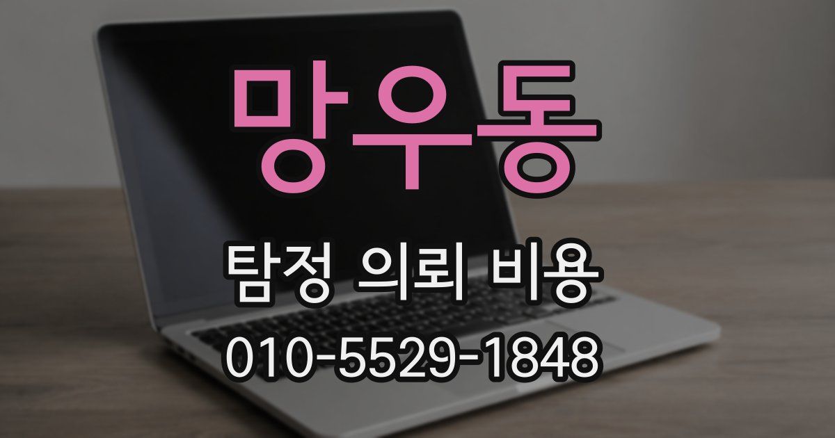 망우동 탐정 의뢰 비용