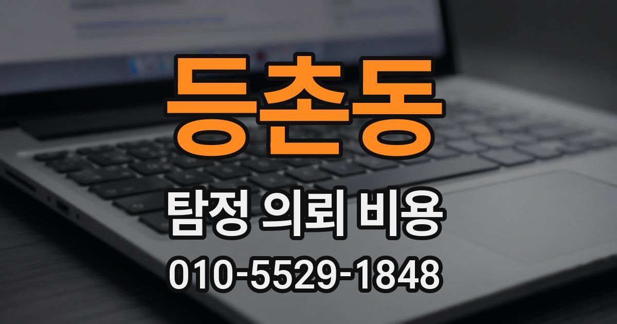 등촌동 탐정 의뢰 비용