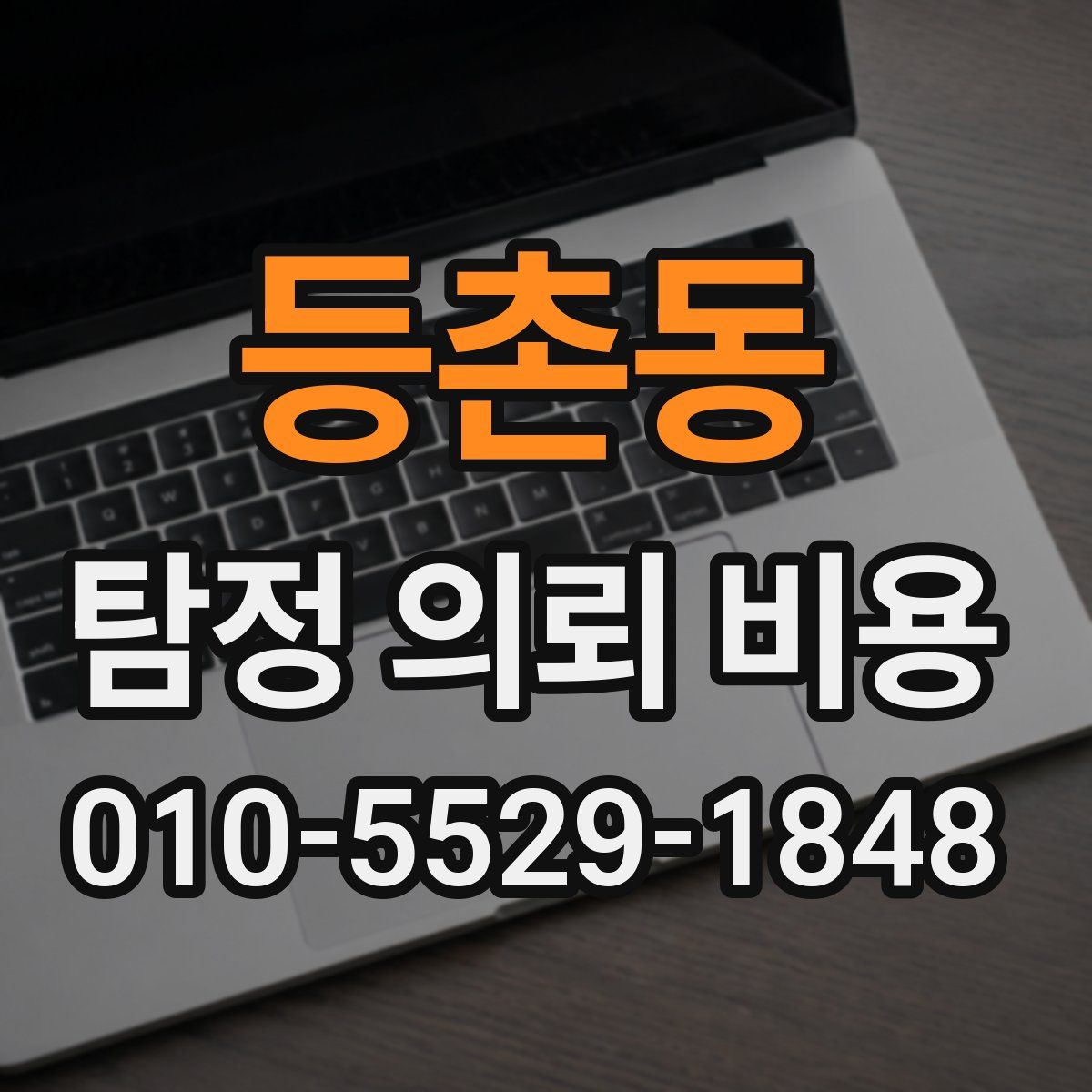 등촌동 탐정 의뢰 비용