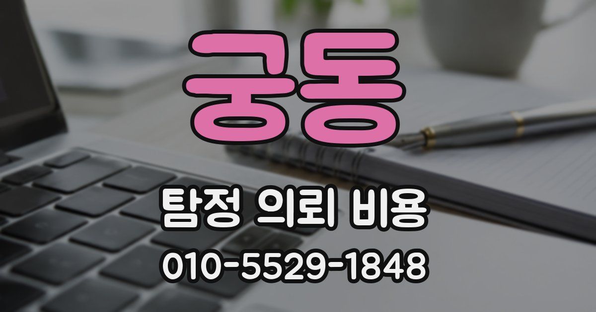 궁동 탐정 의뢰 비용