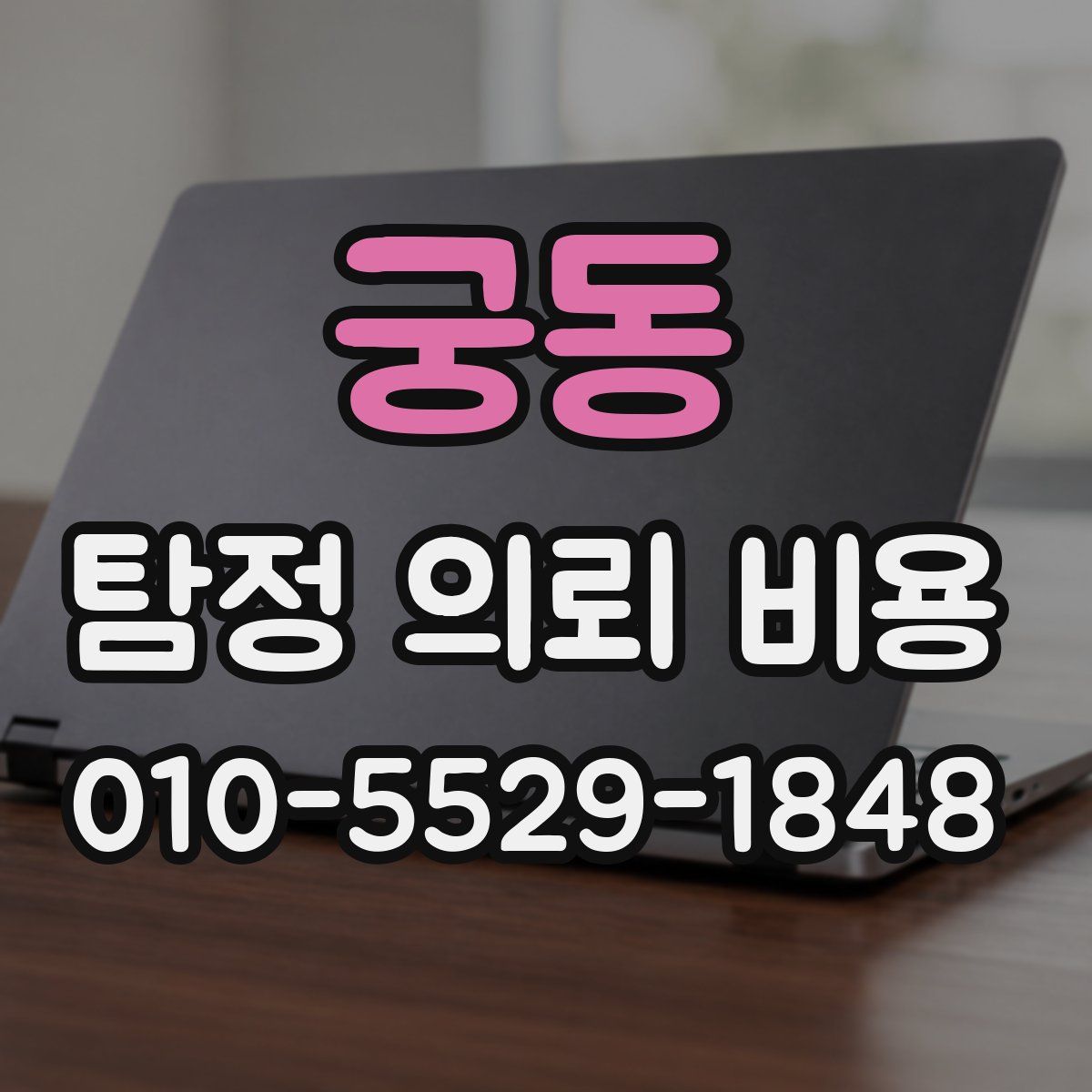 궁동 탐정 의뢰 비용