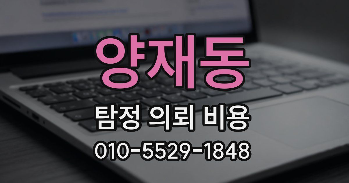 양재동 탐정 의뢰 비용