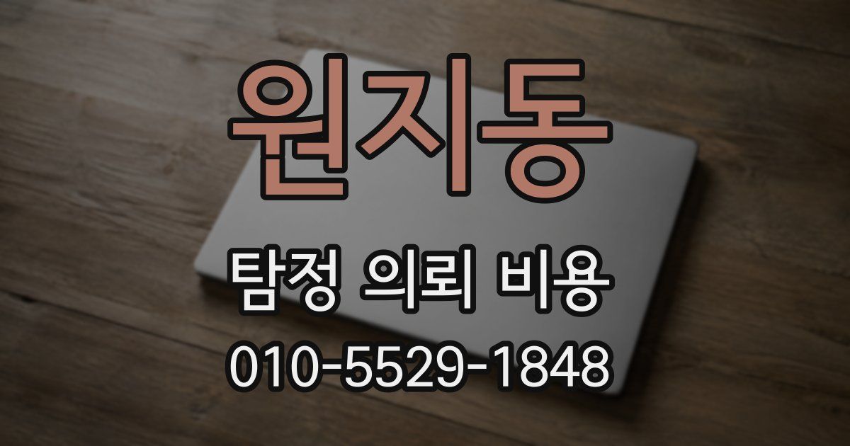 원지동 탐정 의뢰 비용