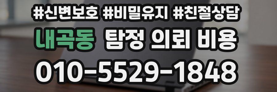 내곡동 탐정 의뢰 비용
