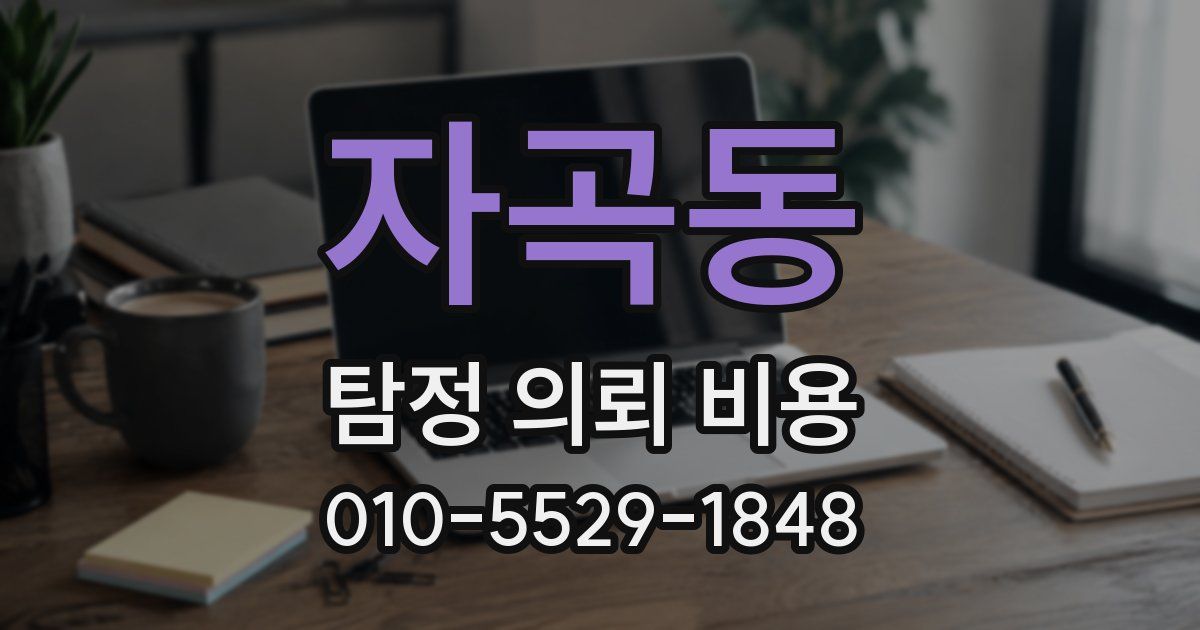 자곡동 탐정 의뢰 비용