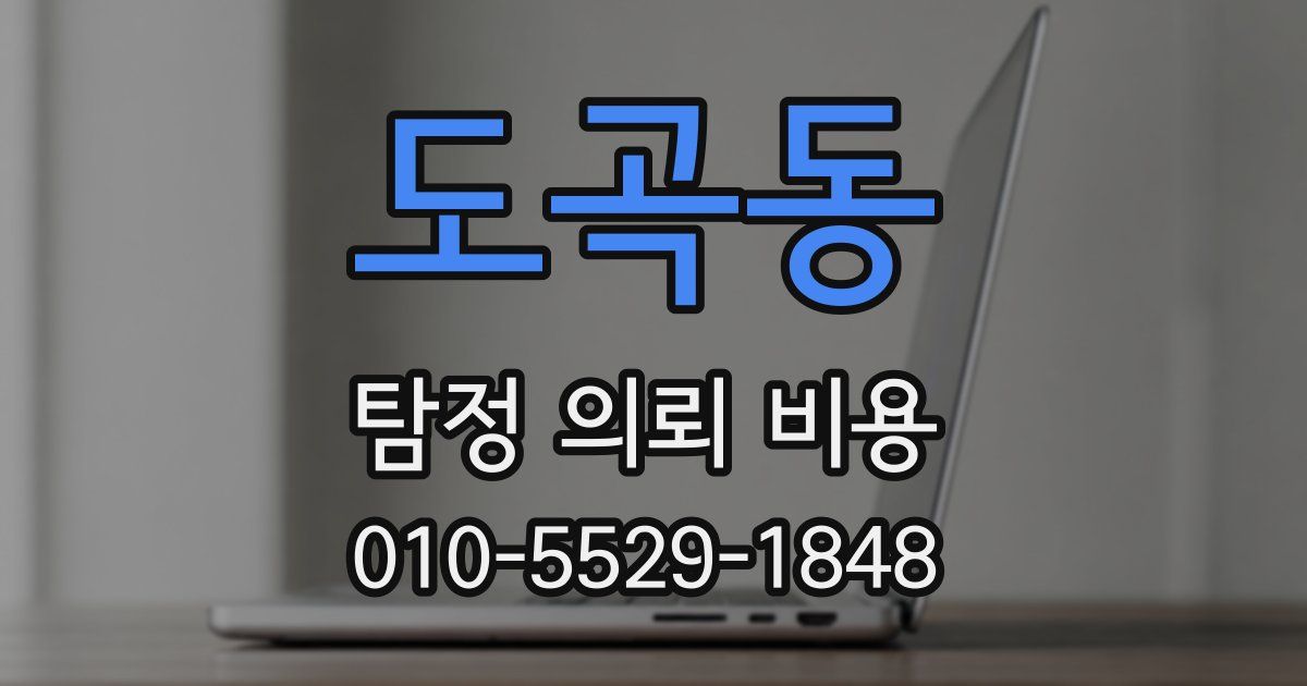 도곡동 탐정 의뢰 비용