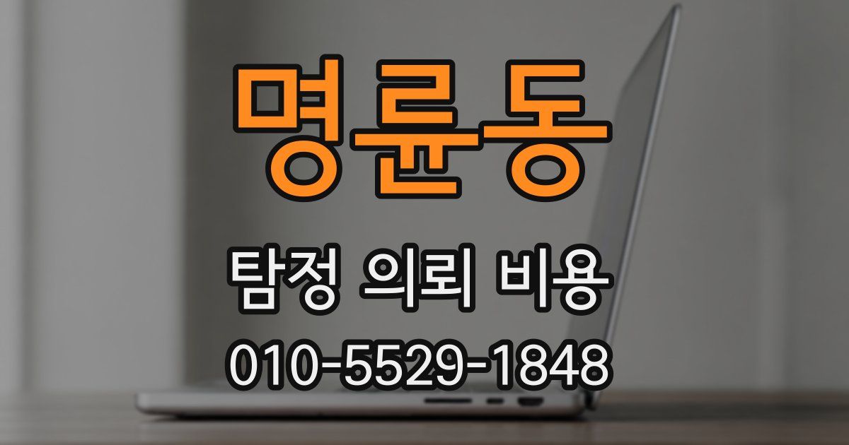 명륜동 탐정 의뢰 비용