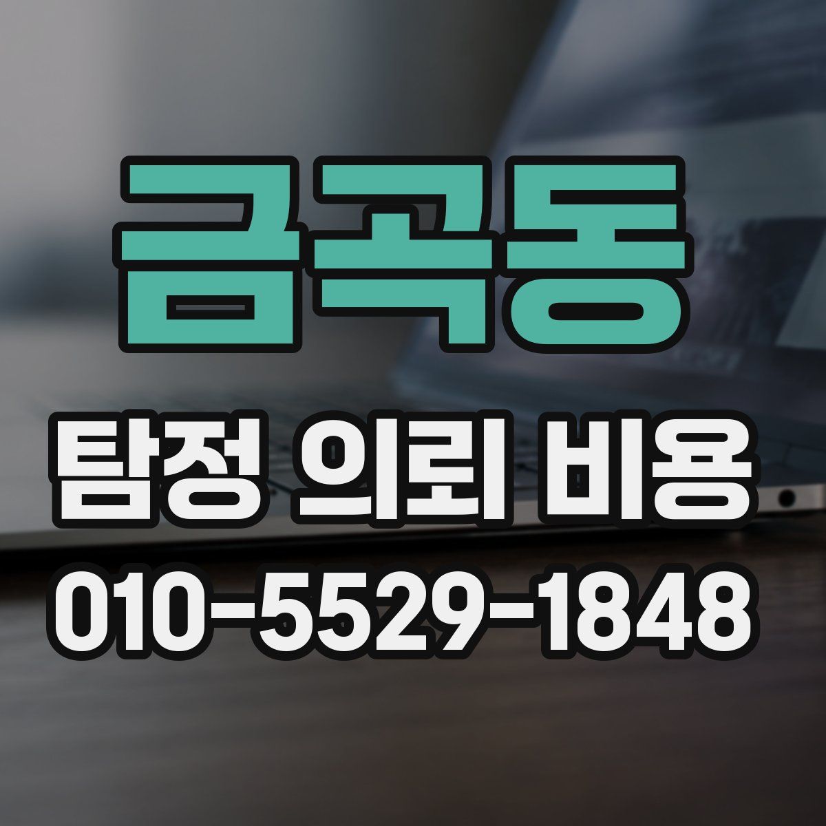 금곡동 탐정 의뢰 비용
