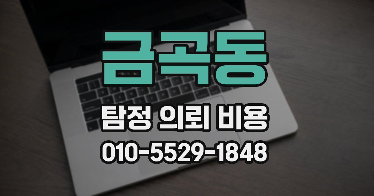 금곡동 탐정 의뢰 비용