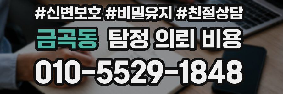 금곡동 탐정 의뢰 비용
