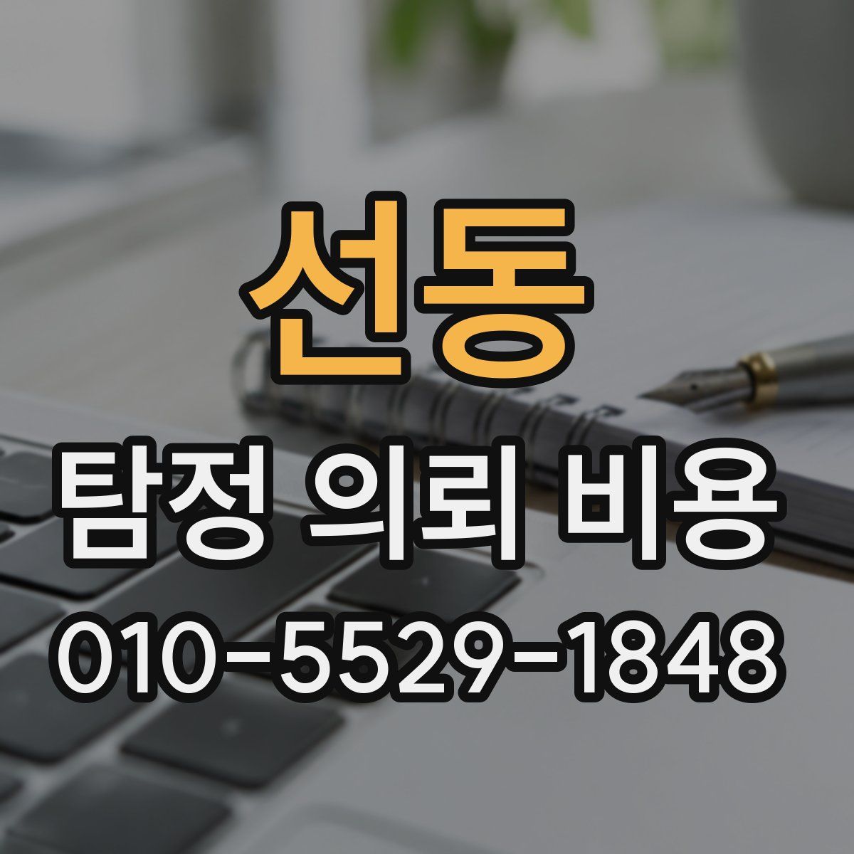 선동 탐정 의뢰 비용