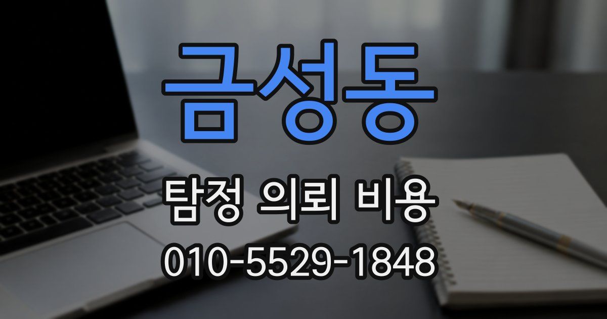 금성동 탐정 의뢰 비용