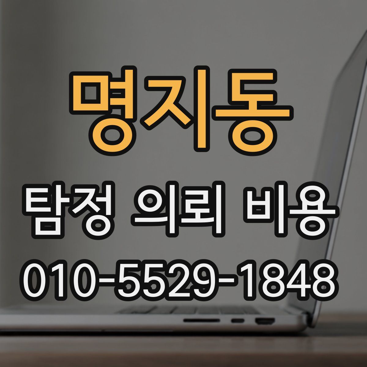 명지동 탐정 의뢰 비용