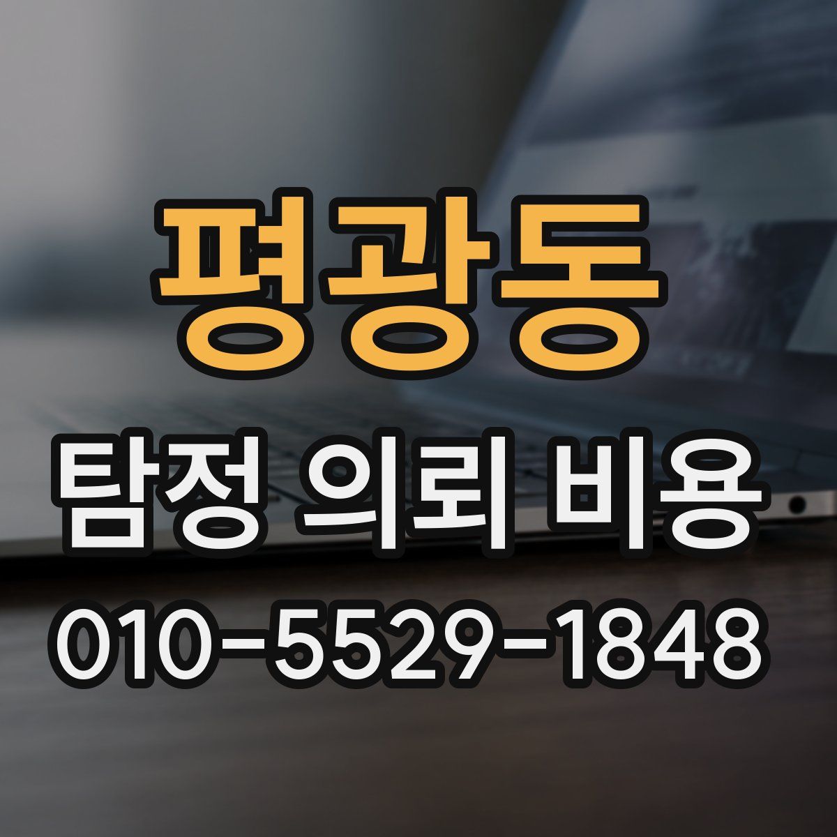 평광동 탐정 의뢰 비용