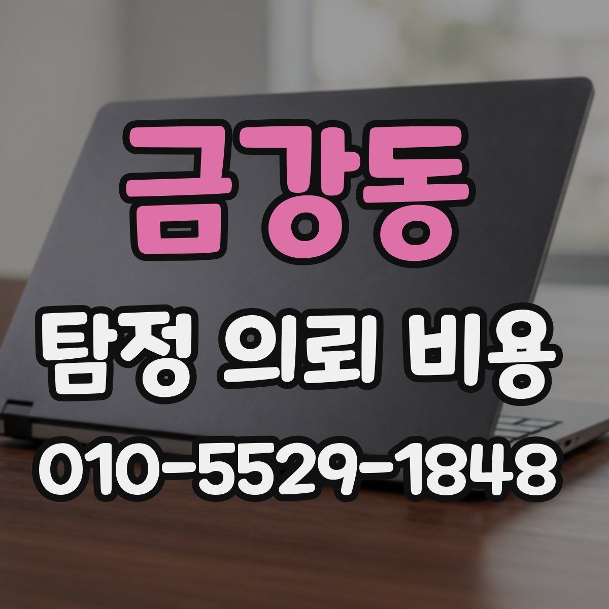 금강동 탐정 의뢰 비용
