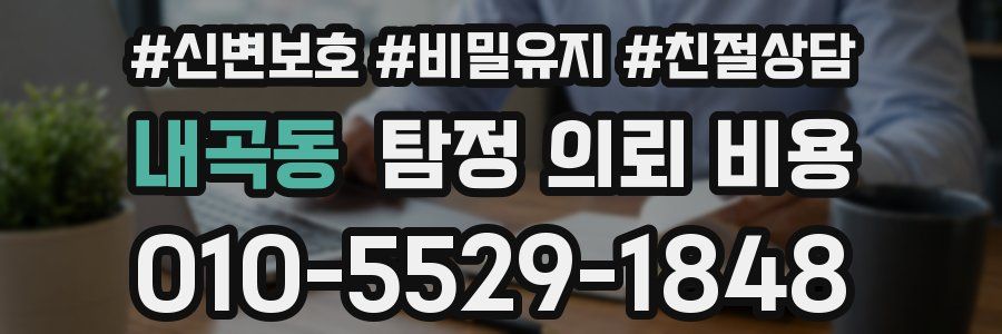 내곡동 탐정 의뢰 비용