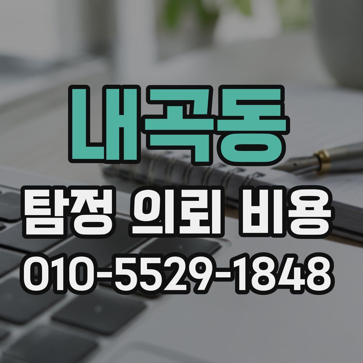 내곡동 탐정 의뢰 비용