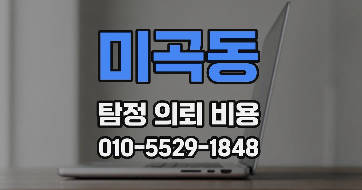 미곡동 탐정 의뢰 비용