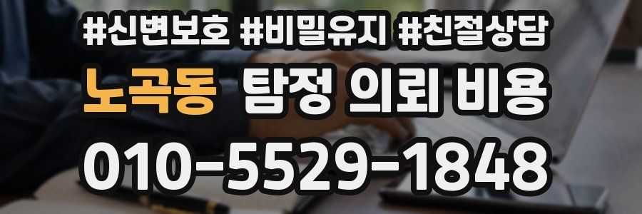 노곡동 탐정 의뢰 비용