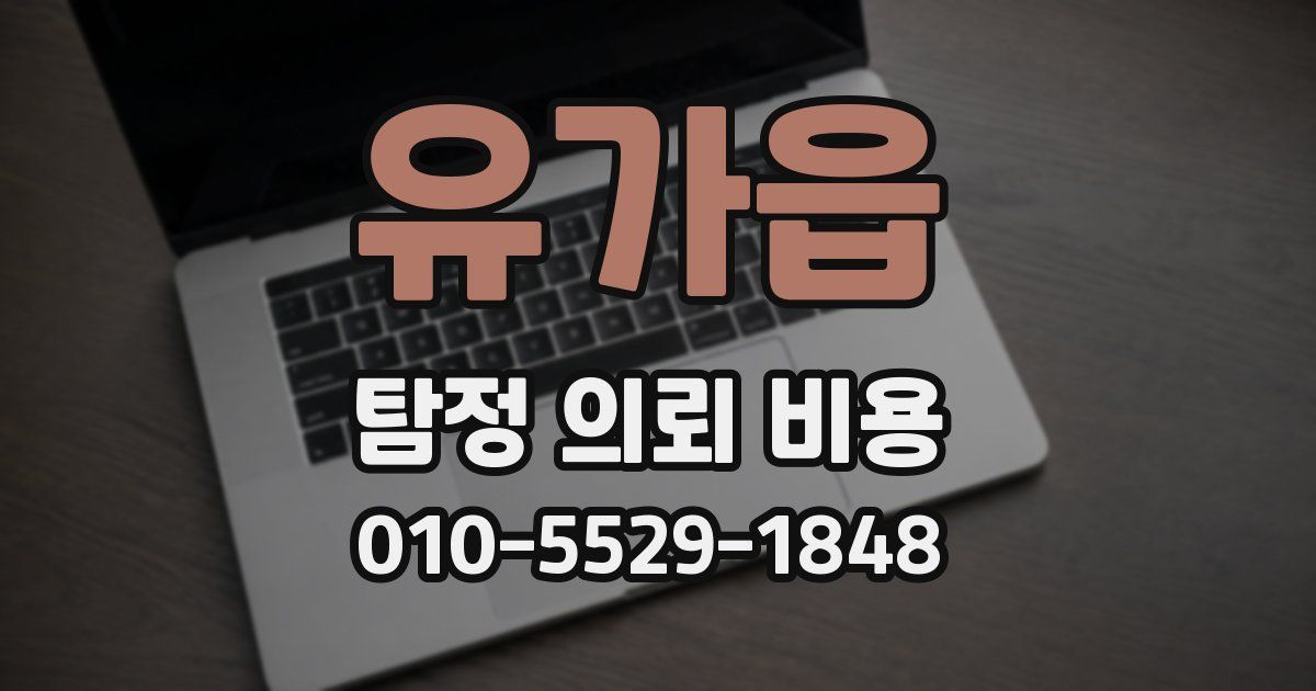 유가읍 탐정 의뢰 비용