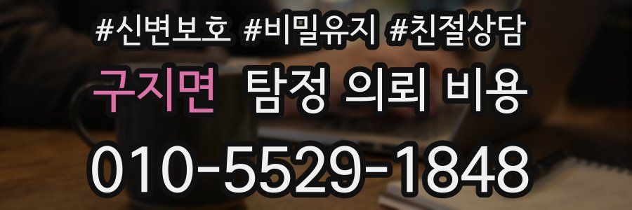 구지면 탐정 의뢰 비용