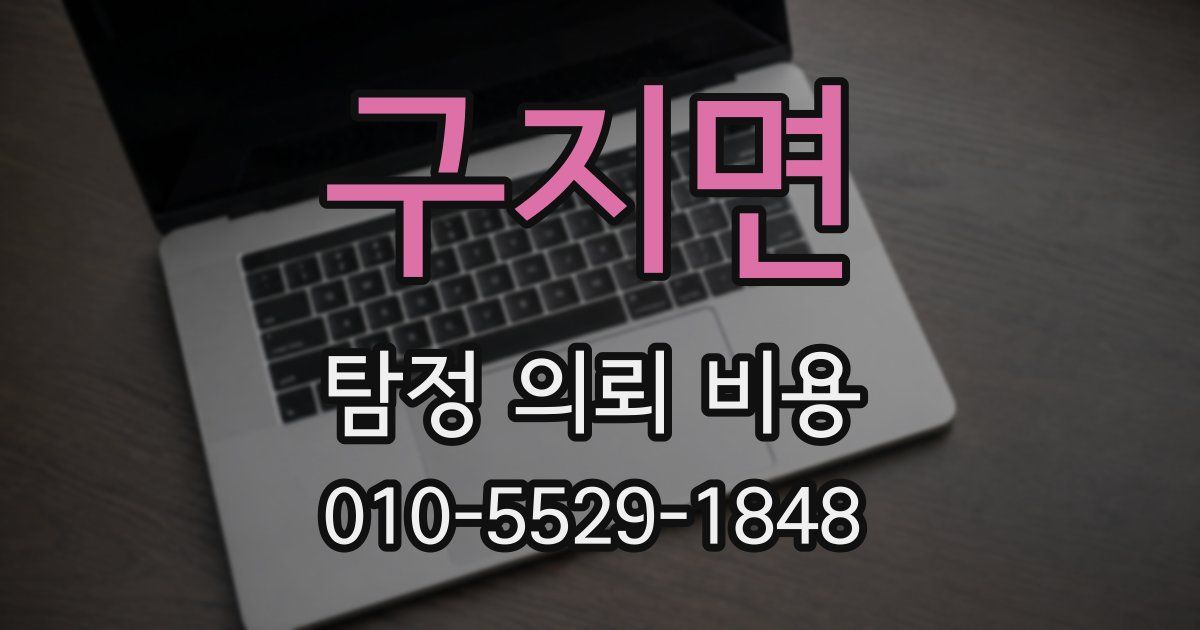 구지면 탐정 의뢰 비용