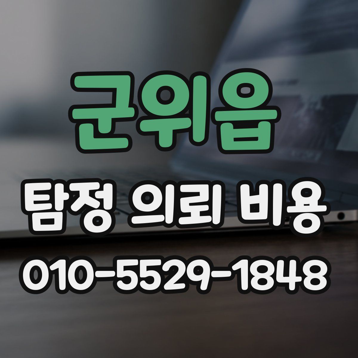 군위읍 탐정 의뢰 비용