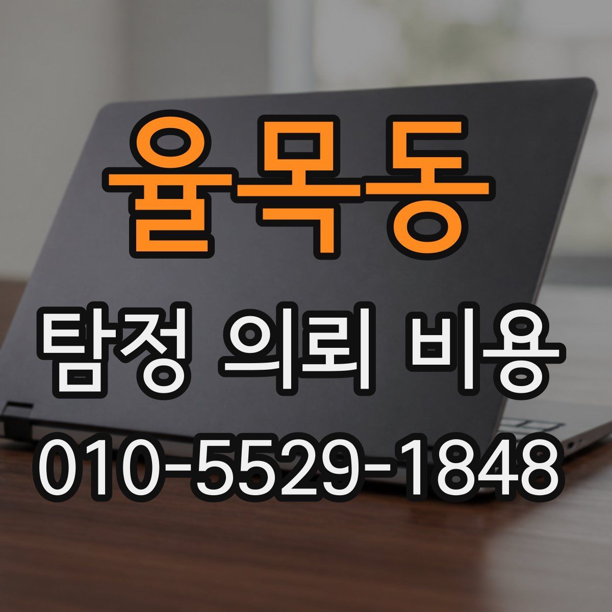 율목동 탐정 의뢰 비용