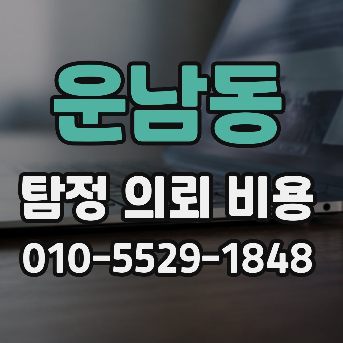 운남동 탐정 의뢰 비용