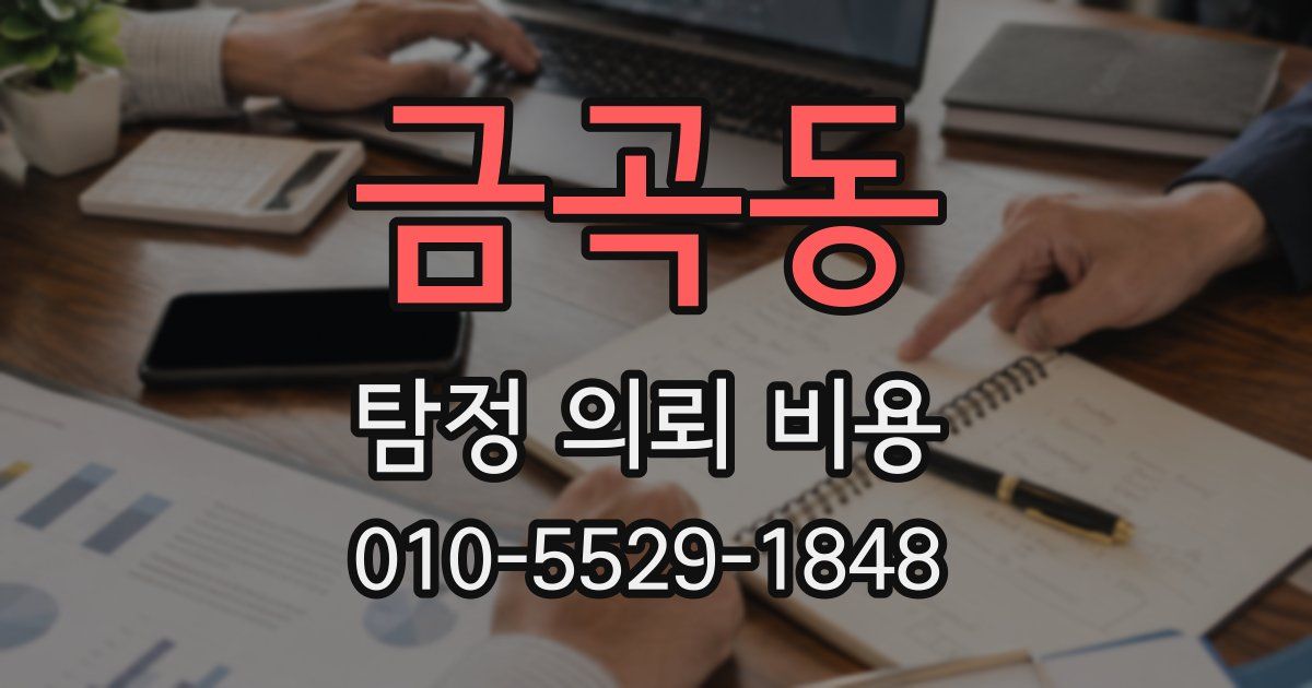 금곡동 탐정 의뢰 비용