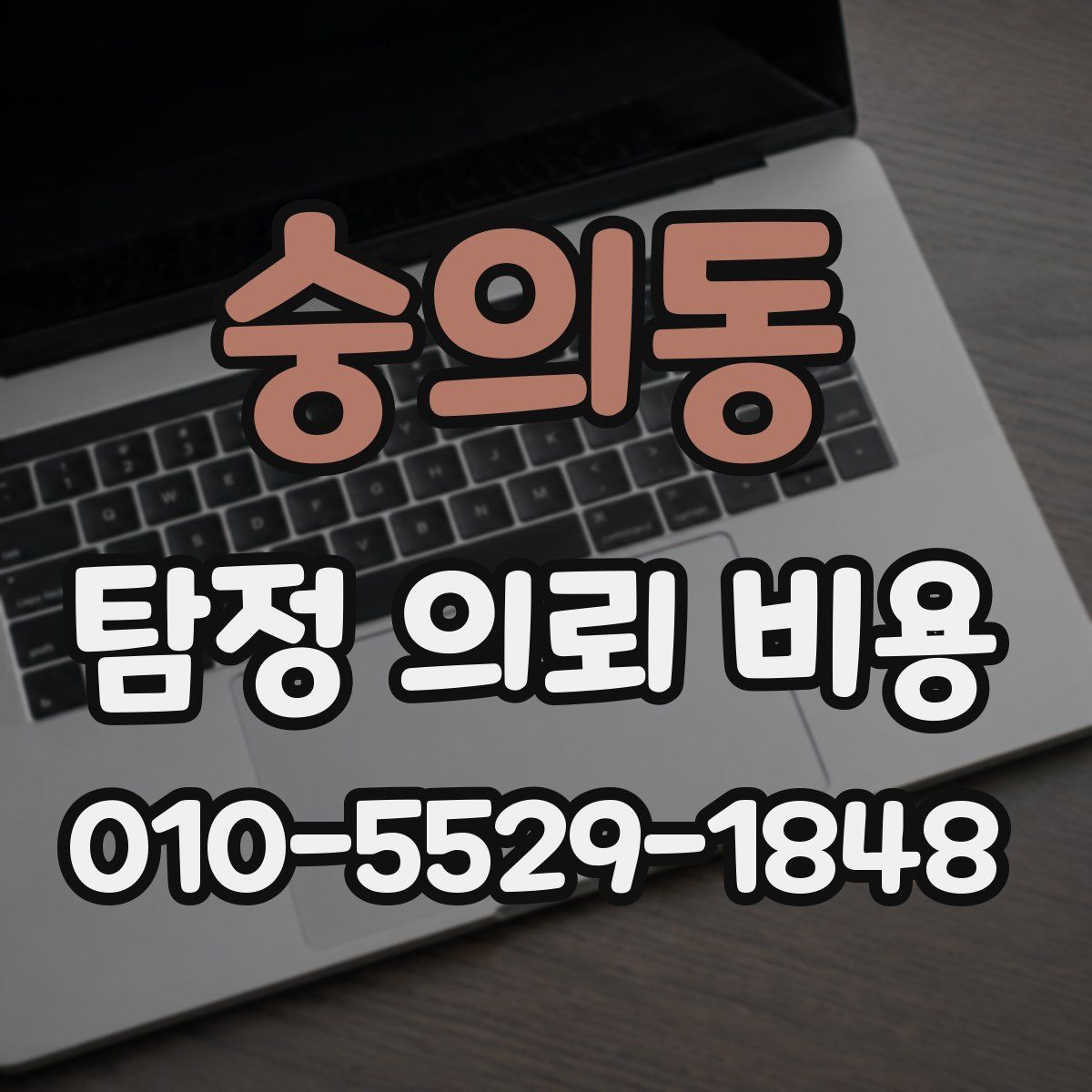 숭의동 탐정 의뢰 비용