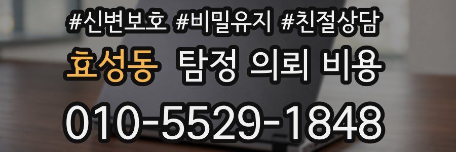 효성동 탐정 의뢰 비용
