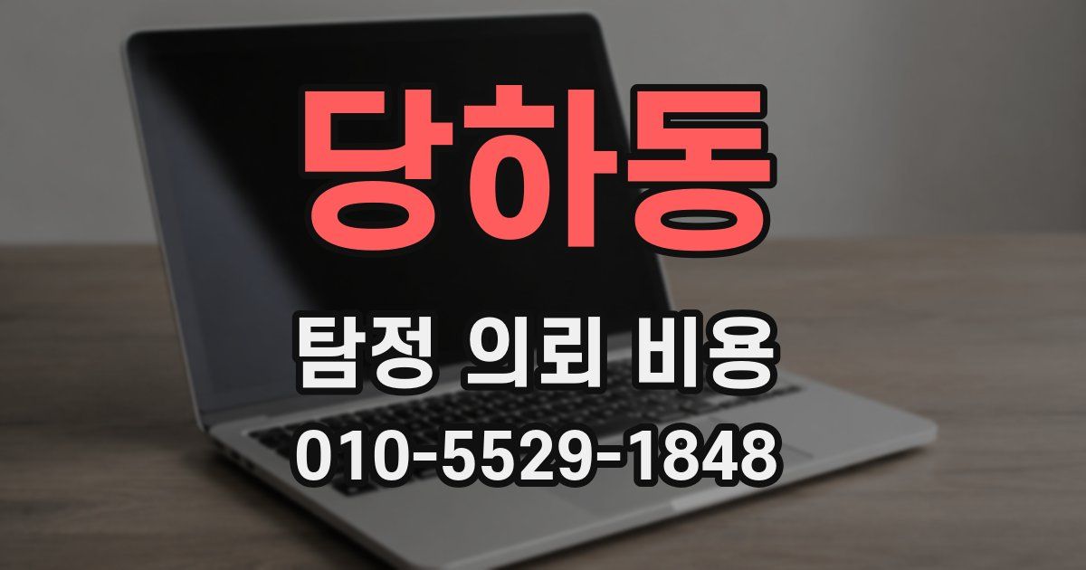 당하동 탐정 의뢰 비용