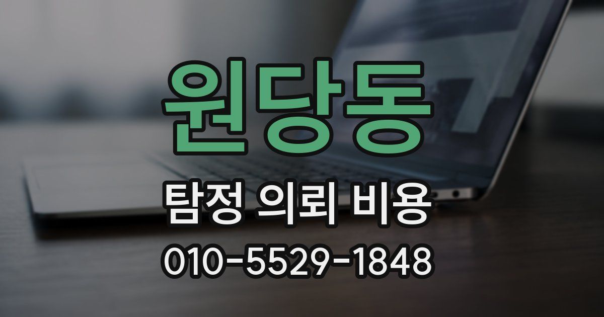 원당동 탐정 의뢰 비용