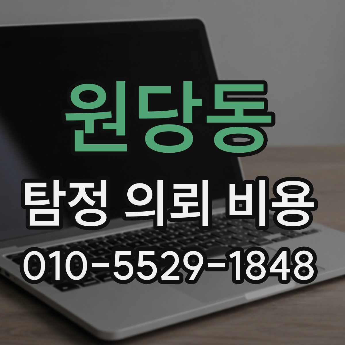 원당동 탐정 의뢰 비용