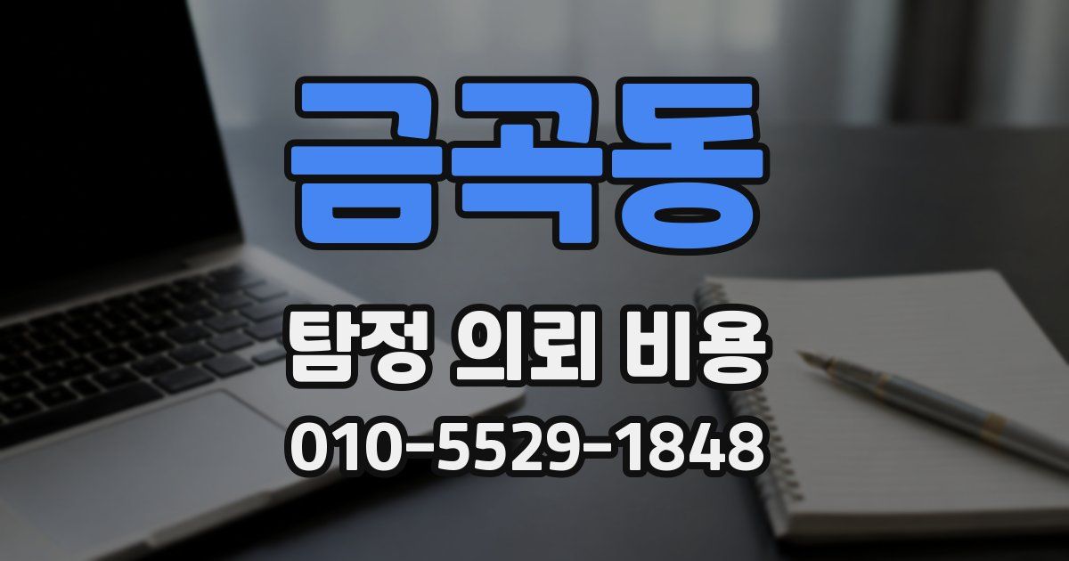 금곡동 탐정 의뢰 비용