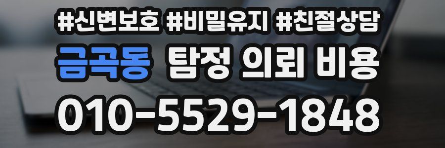 금곡동 탐정 의뢰 비용