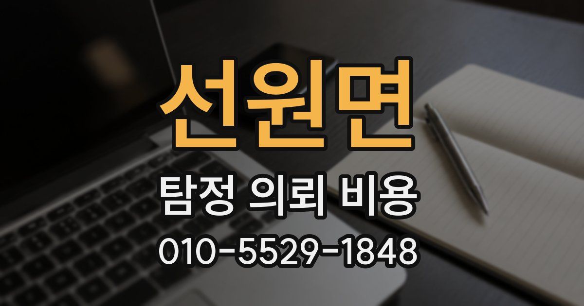 선원면 탐정 의뢰 비용