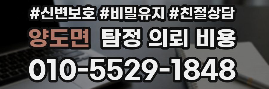 양도면 탐정 의뢰 비용