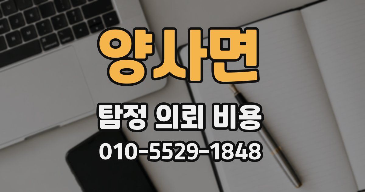 양사면 탐정 의뢰 비용