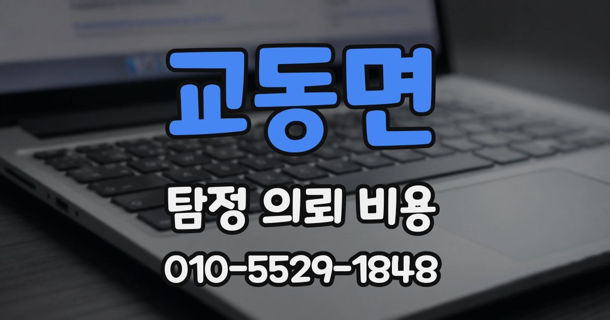 교동면 탐정 의뢰 비용