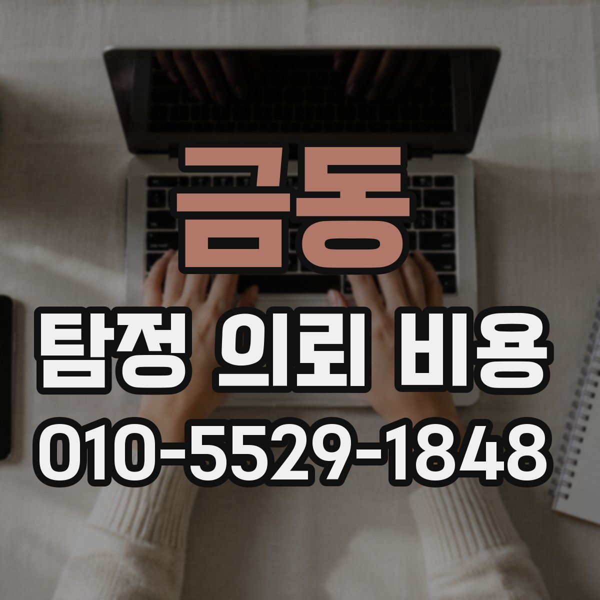 금동 탐정 의뢰 비용