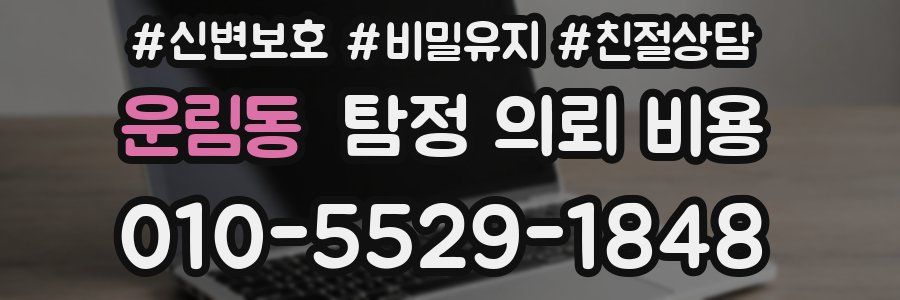 운림동 탐정 의뢰 비용