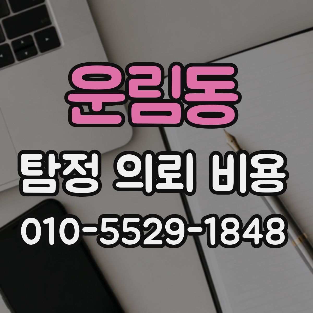 운림동 탐정 의뢰 비용